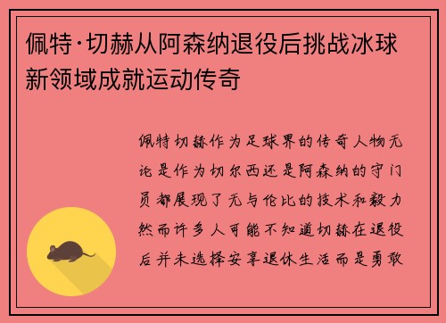 佩特·切赫从阿森纳退役后挑战冰球新领域成就运动传奇